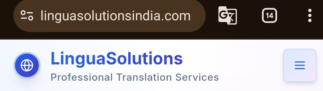 LinguaSolutions Background